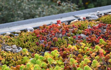 the cost of Rectory green roof installation
