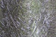 Rectory fibreglass roof work